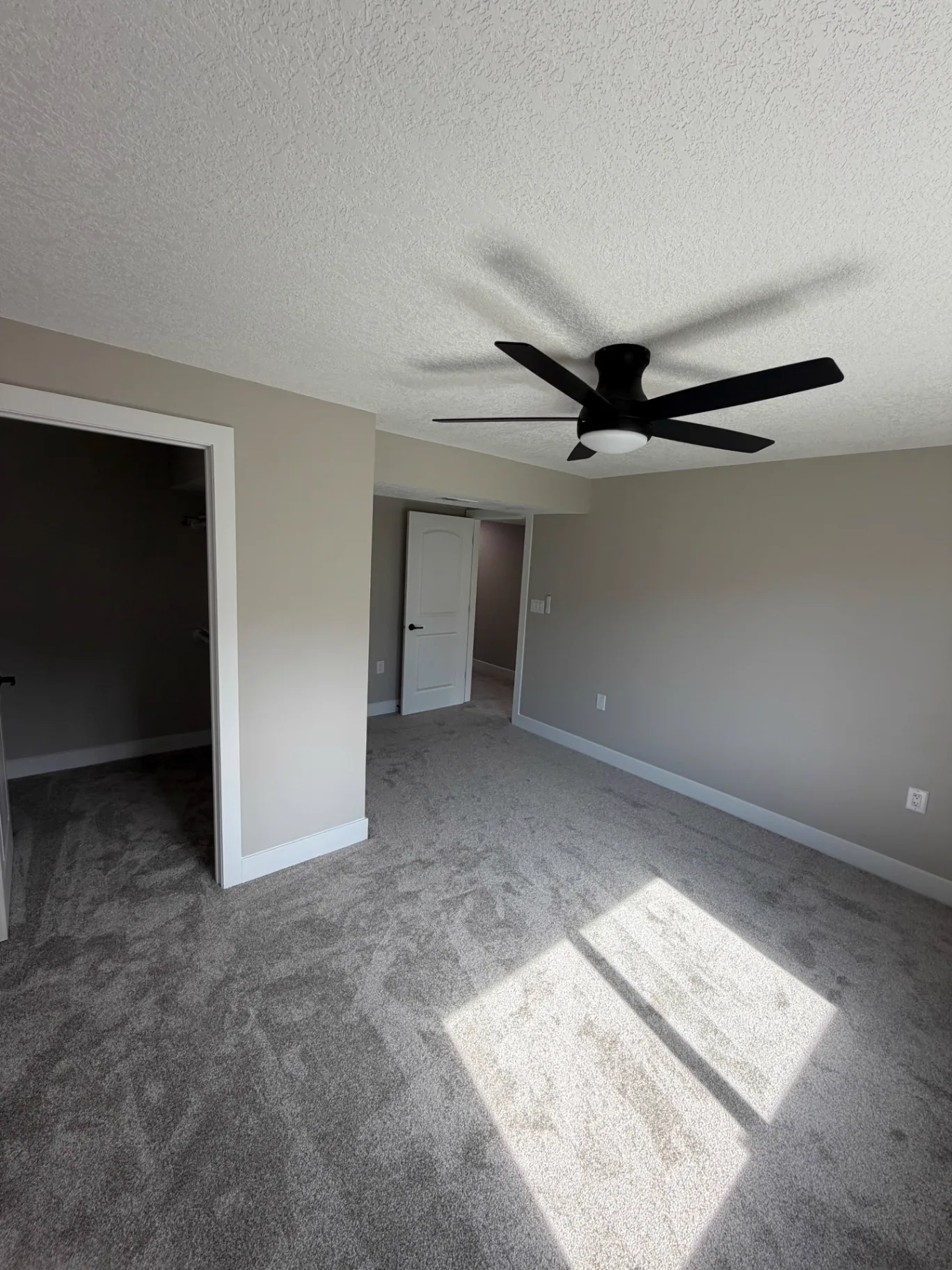 Finished bedroom with painted walls, textured ceiling, black ceiling fan, walk-in closet opening, and new carpet