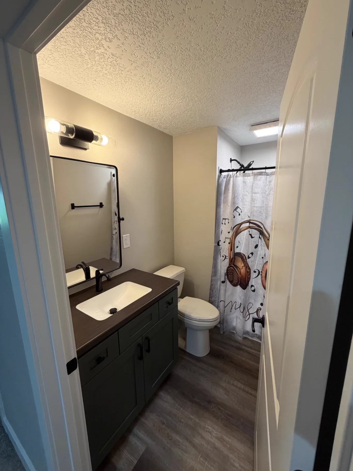 Finished bathroom with a dark green vanity, black framed mirror, black vanity light, and wood-look plank flooring